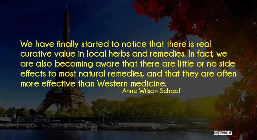 Natural Remedies Quotes By Anne Wilson Schaef Natural Remedies Quotes By Anne Wilson Schaef