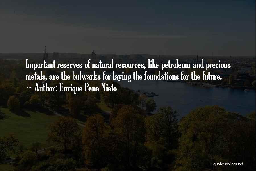 Natural Resources Quotes By Enrique Pena Nieto