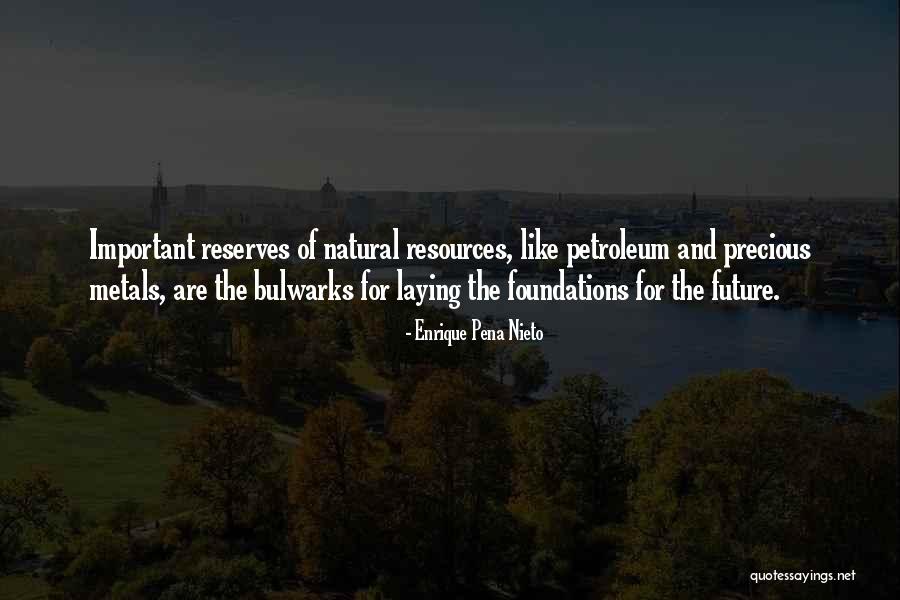 Natural Resources Quotes By Enrique Pena Nieto