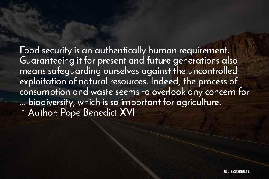 Natural Resources Quotes By Pope Benedict XVI