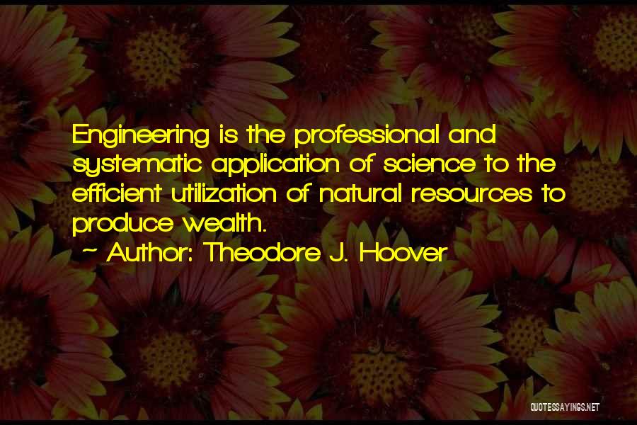 Natural Resources Quotes By Theodore J. Hoover