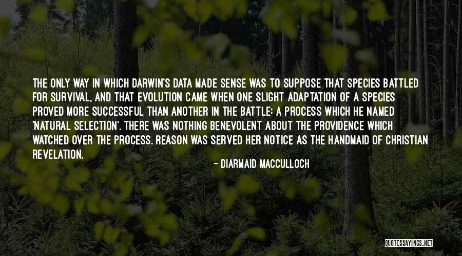 Natural Selection Quotes By Diarmaid MacCulloch Natural Selection Quotes By Diarmaid MacCulloch