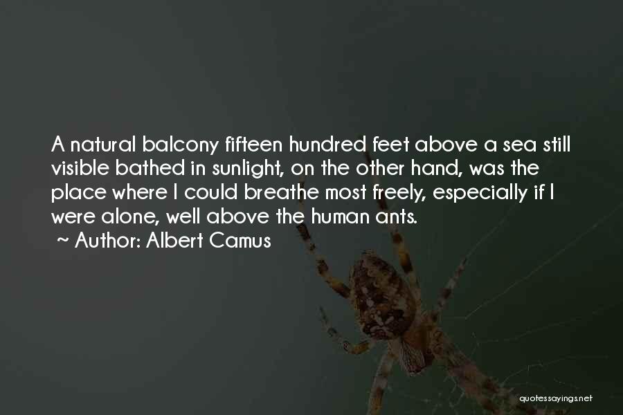 Natural Sunlight Quotes By Albert Camus