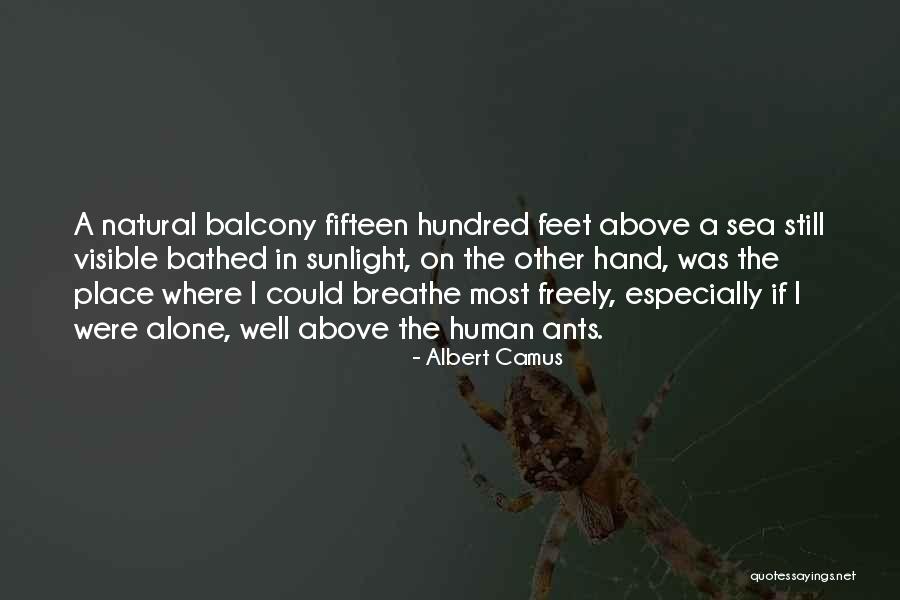 Natural Sunlight Quotes By Albert Camus