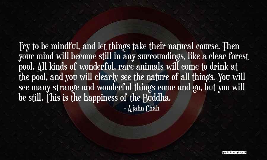 Natural Surroundings Quotes By Ajahn Chah Natural Surroundings Quotes By Ajahn Chah