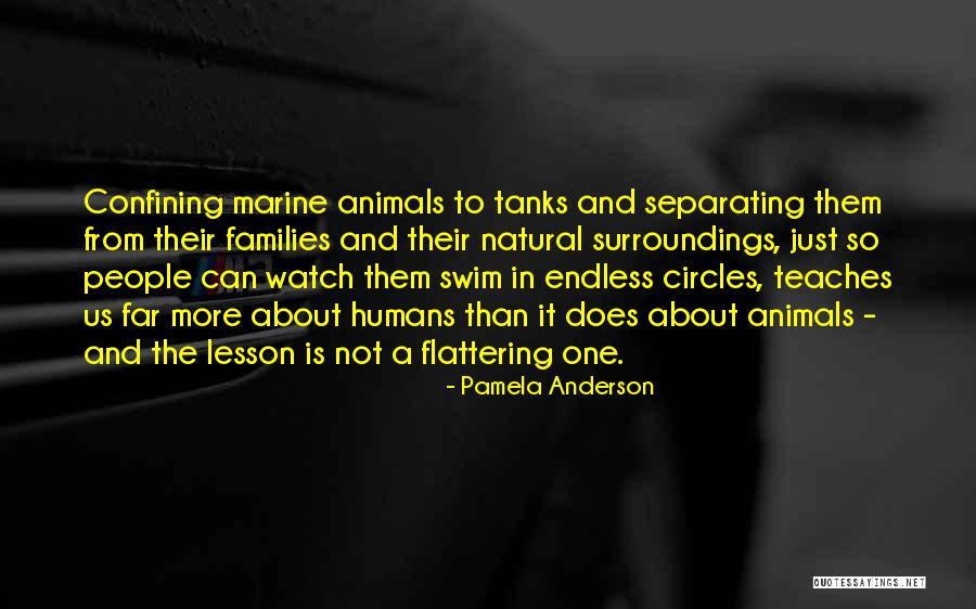 Natural Surroundings Quotes By Pamela Anderson Natural Surroundings Quotes By Pamela Anderson