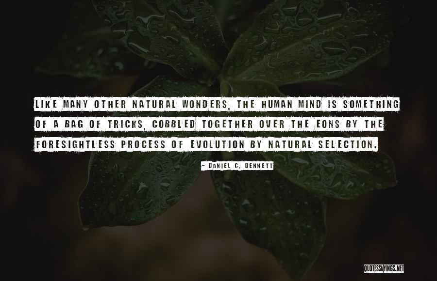 Natural Wonders Quotes By Daniel C. Dennett