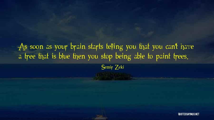 Naturaliter Obchod Quotes By Semir Zeki Naturaliter Obchod Quotes By Semir Zeki