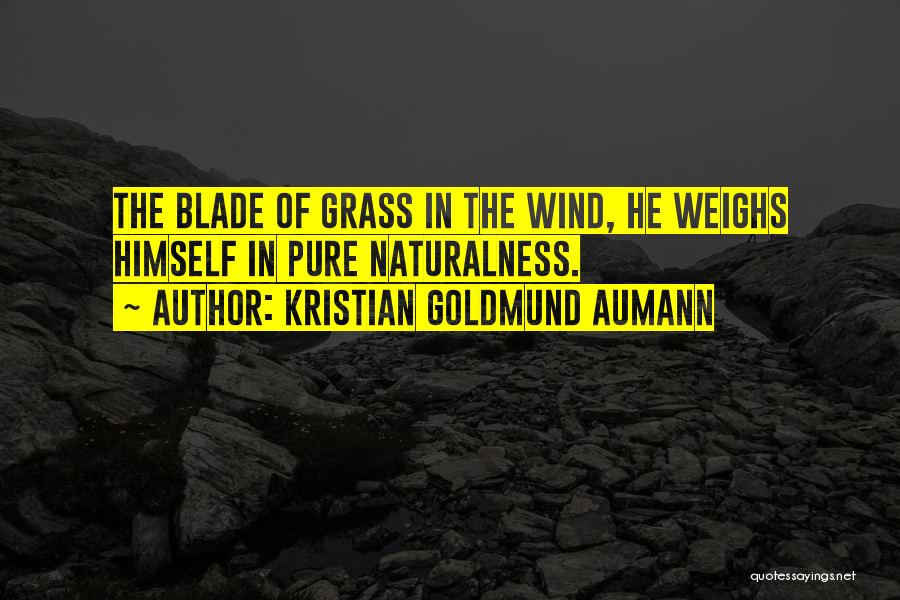 Naturalness Quotes By Kristian Goldmund Aumann