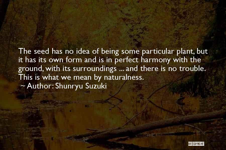 Naturalness Quotes By Shunryu Suzuki