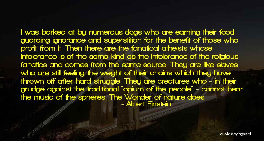 Nature Albert Einstein Quotes By Albert Einstein