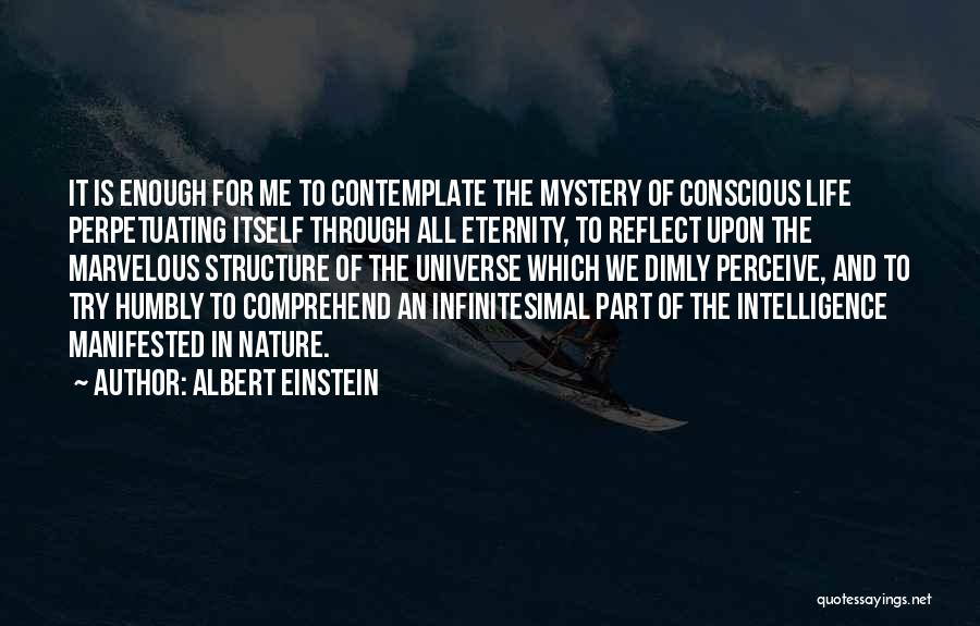 Nature Albert Einstein Quotes By Albert Einstein