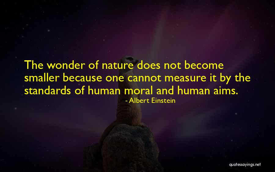 Nature Albert Einstein Quotes By Albert Einstein