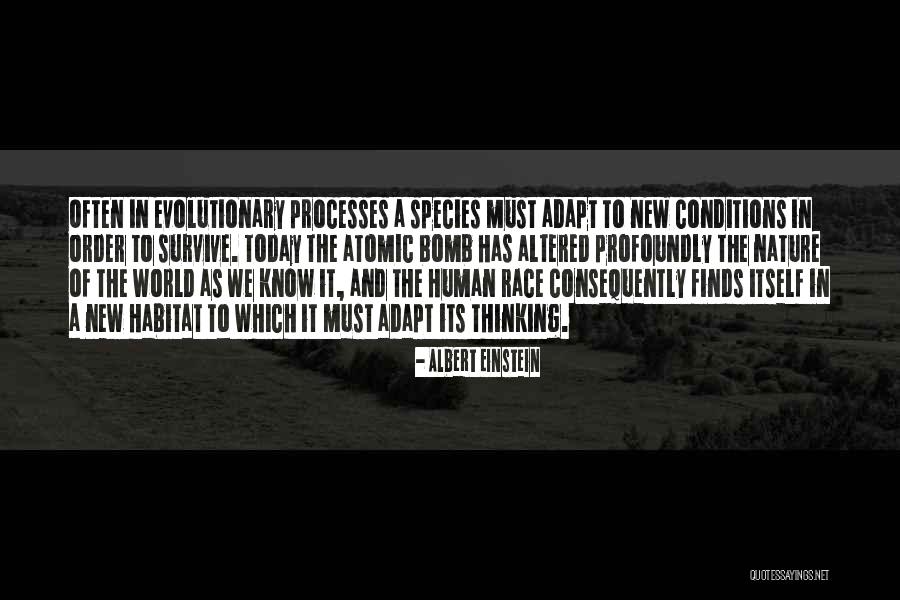 Nature Albert Einstein Quotes By Albert Einstein Nature Albert Einstein Quotes By Albert Einstein