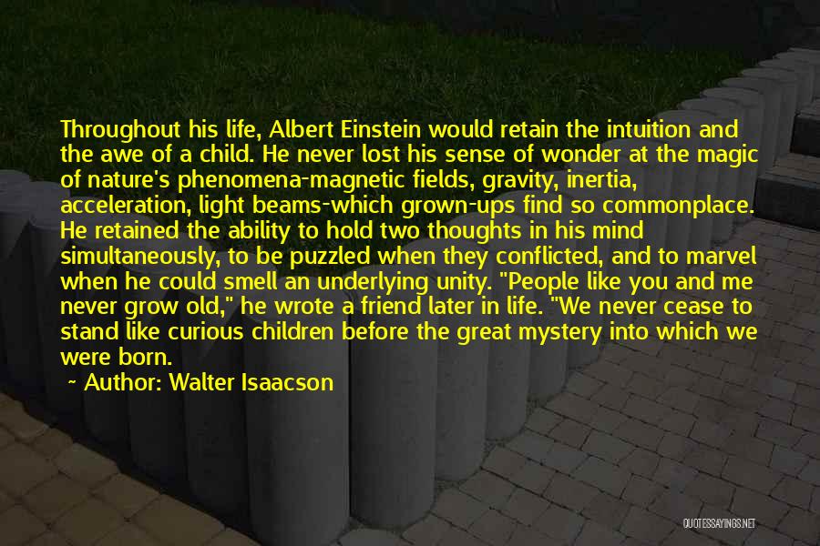 Nature Albert Einstein Quotes By Walter Isaacson