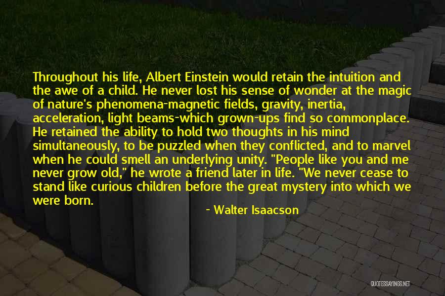 Nature Albert Einstein Quotes By Walter Isaacson