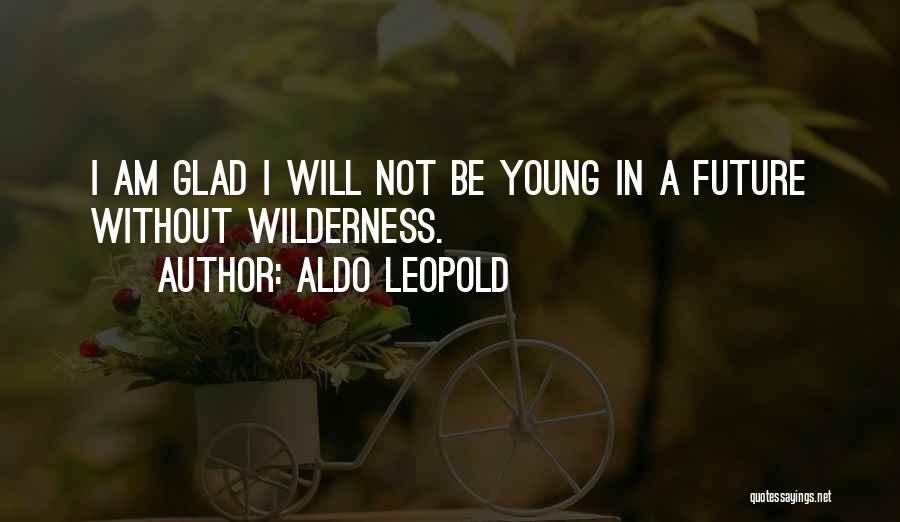 Nature Aldo Leopold Quotes By Aldo Leopold