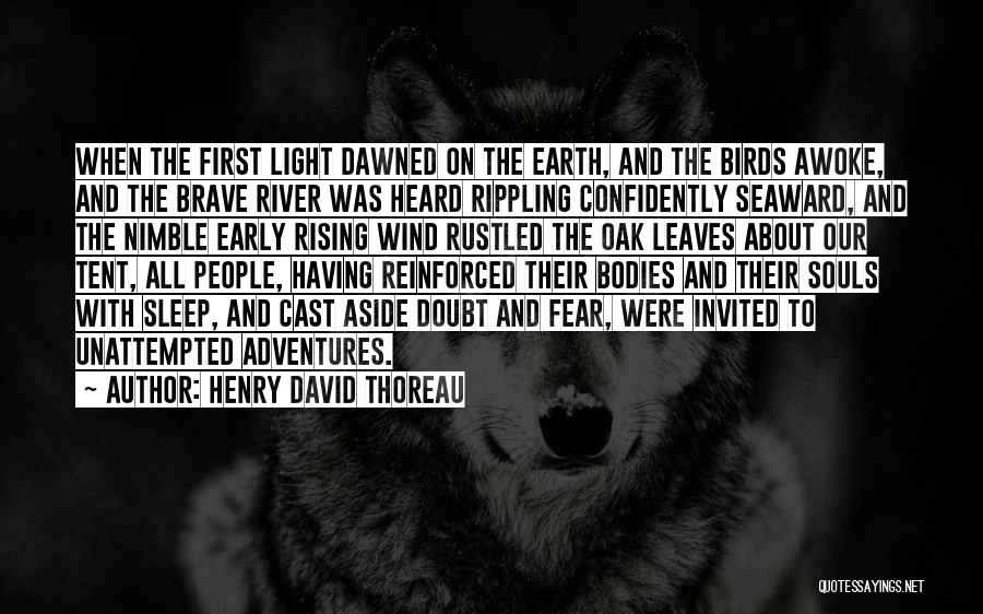 Nature And Adventure Quotes By Henry David Thoreau