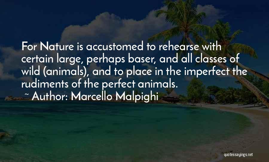 Nature And Animals Quotes By Marcello Malpighi