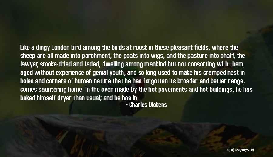 Nature And Birds Quotes By Charles Dickens Nature And Birds Quotes By Charles Dickens