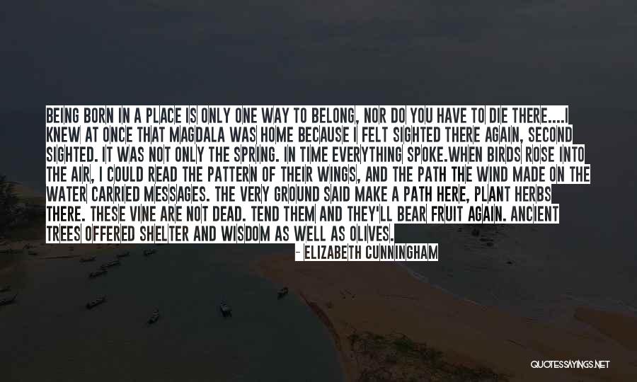 Nature And Birds Quotes By Elizabeth Cunningham Nature And Birds Quotes By Elizabeth Cunningham