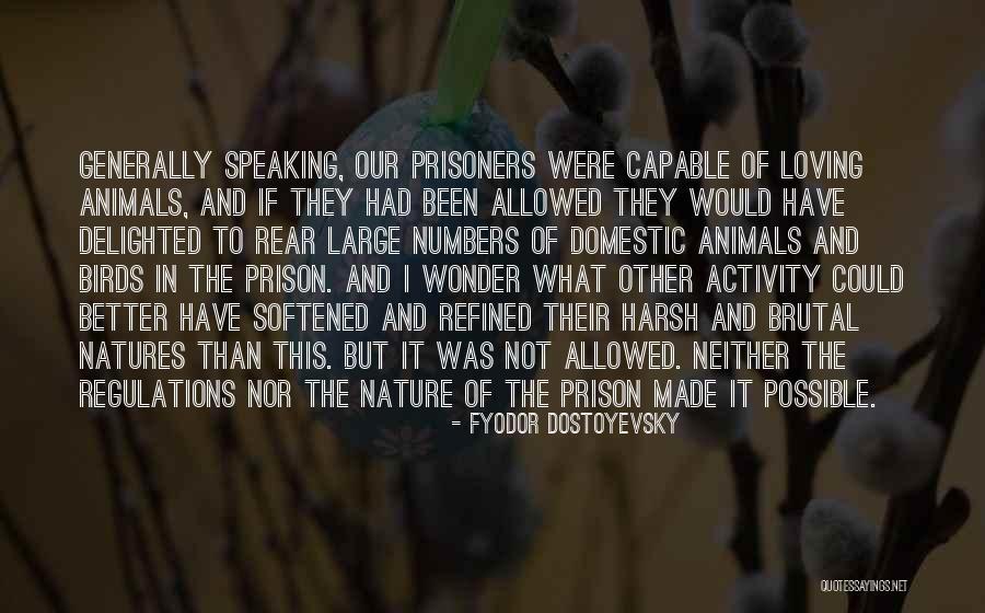 Nature And Birds Quotes By Fyodor Dostoyevsky Nature And Birds Quotes By Fyodor Dostoyevsky