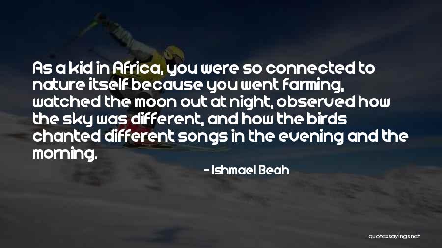 Nature And Birds Quotes By Ishmael Beah Nature And Birds Quotes By Ishmael Beah