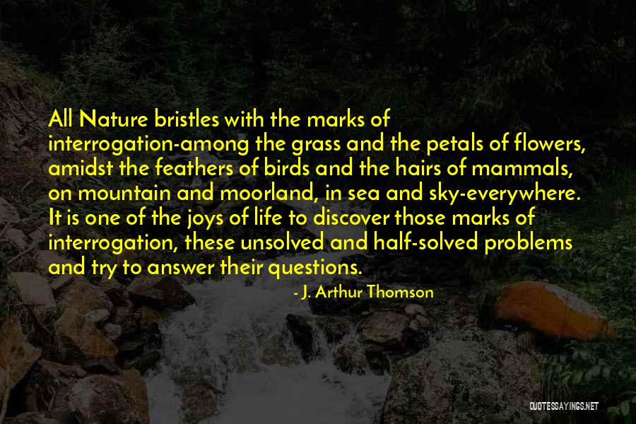 Nature And Birds Quotes By J. Arthur Thomson Nature And Birds Quotes By J. Arthur Thomson