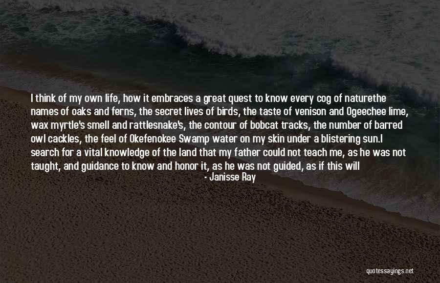 Nature And Birds Quotes By Janisse Ray Nature And Birds Quotes By Janisse Ray