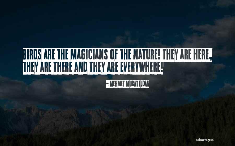 Nature And Birds Quotes By Mehmet Murat Ildan Nature And Birds Quotes By Mehmet Murat Ildan