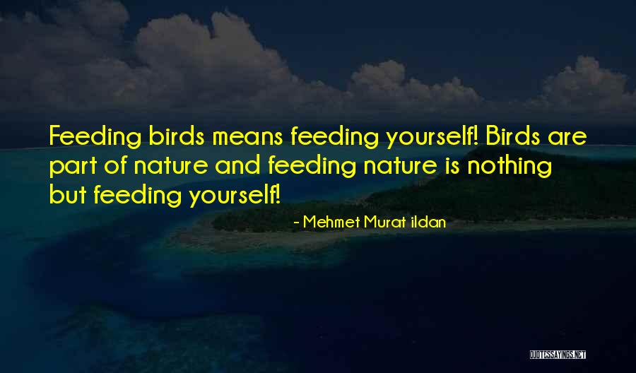Nature And Birds Quotes By Mehmet Murat Ildan Nature And Birds Quotes By Mehmet Murat Ildan