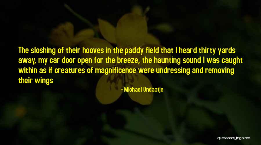 Nature And Birds Quotes By Michael Ondaatje Nature And Birds Quotes By Michael Ondaatje