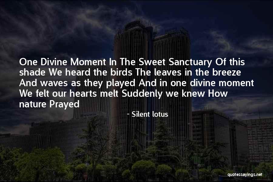Nature And Birds Quotes By Silent Lotus Nature And Birds Quotes By Silent Lotus