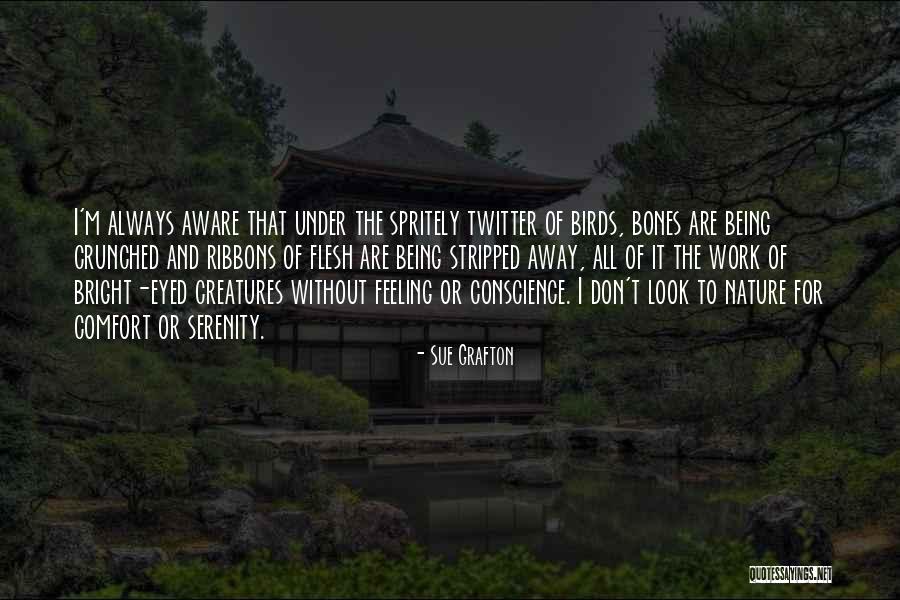 Nature And Birds Quotes By Sue Grafton Nature And Birds Quotes By Sue Grafton