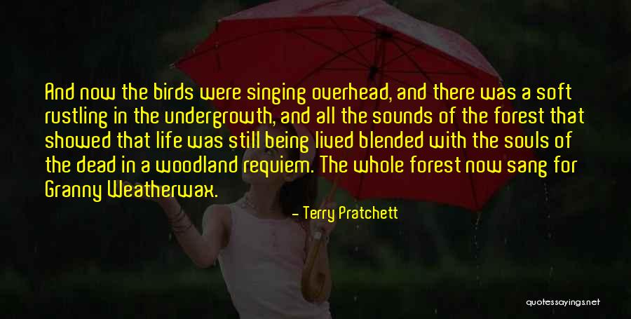 Nature And Birds Quotes By Terry Pratchett Nature And Birds Quotes By Terry Pratchett