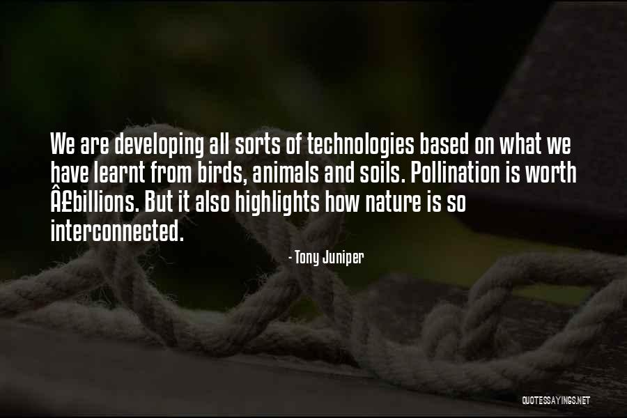 Nature And Birds Quotes By Tony Juniper Nature And Birds Quotes By Tony Juniper