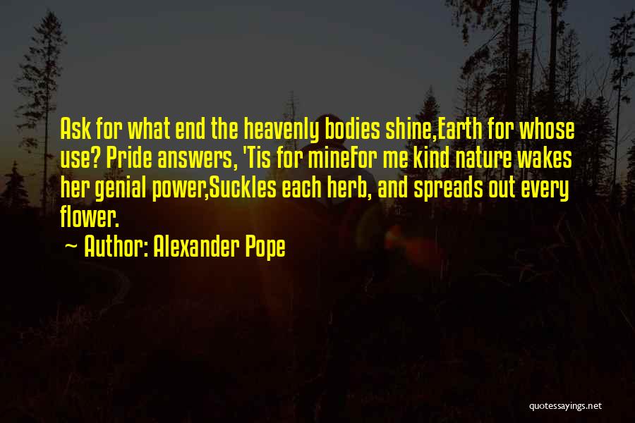 Nature And Earth Quotes By Alexander Pope