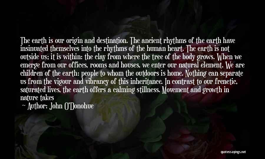 Nature And Earth Quotes By John O'Donohue
