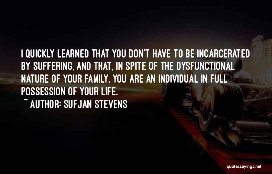 Nature And Family Quotes By Sufjan Stevens