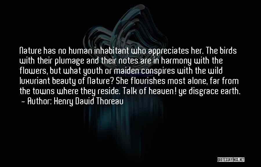 Nature And Human Beauty Quotes By Henry David Thoreau