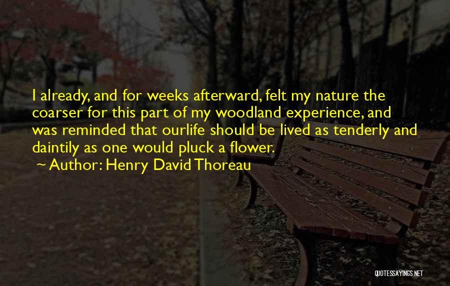 Nature And Hunting Quotes By Henry David Thoreau