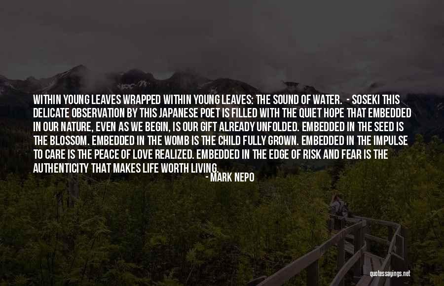 Nature And Love Quotes By Mark Nepo Nature And Love Quotes By Mark Nepo