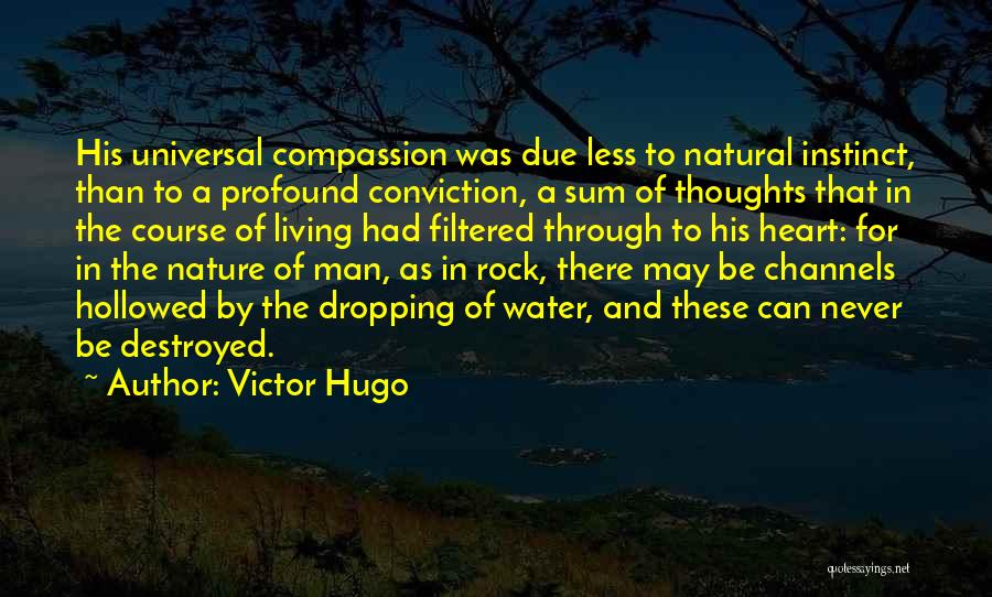 Nature And Man Quotes By Victor Hugo