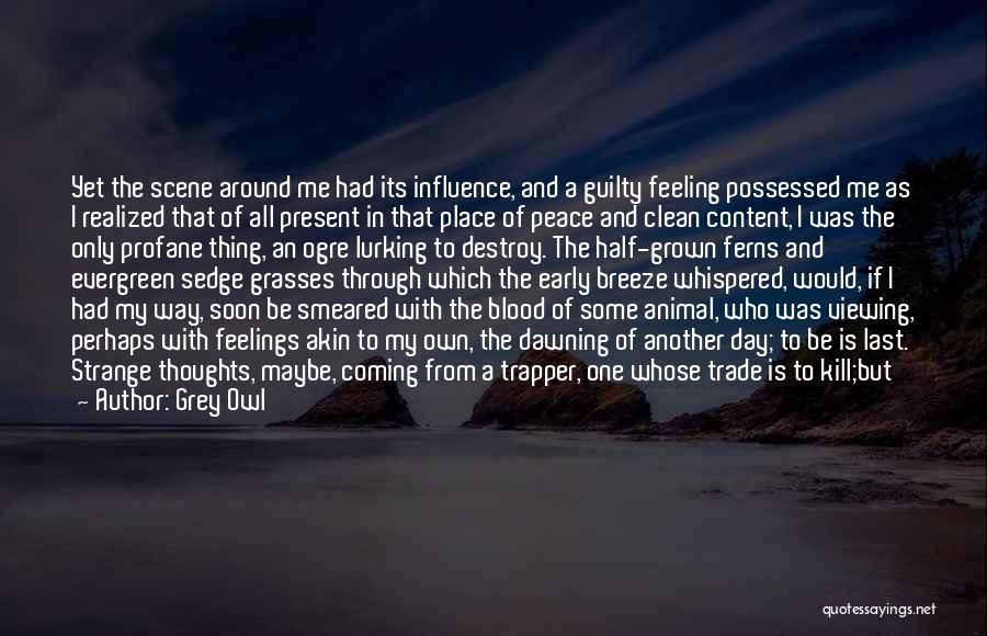 Nature And Peace Quotes By Grey Owl