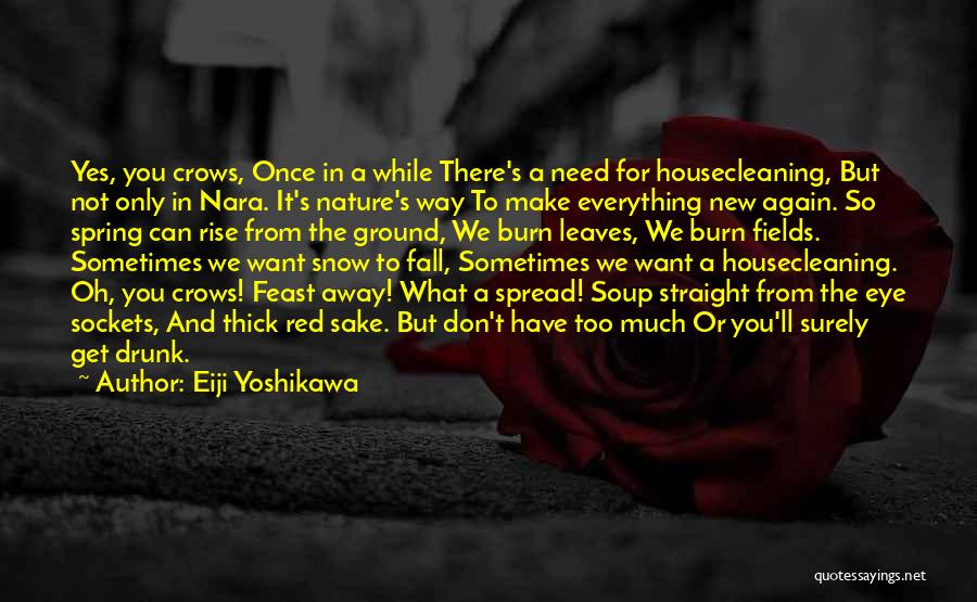 Nature And Snow Quotes By Eiji Yoshikawa