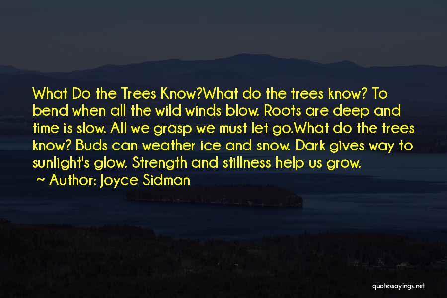 Nature And Snow Quotes By Joyce Sidman