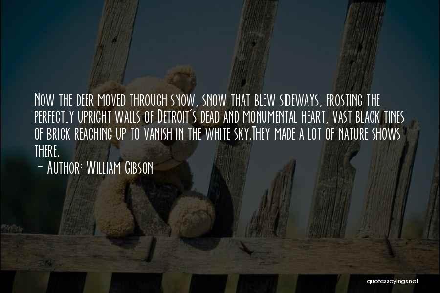 Nature And Snow Quotes By William Gibson