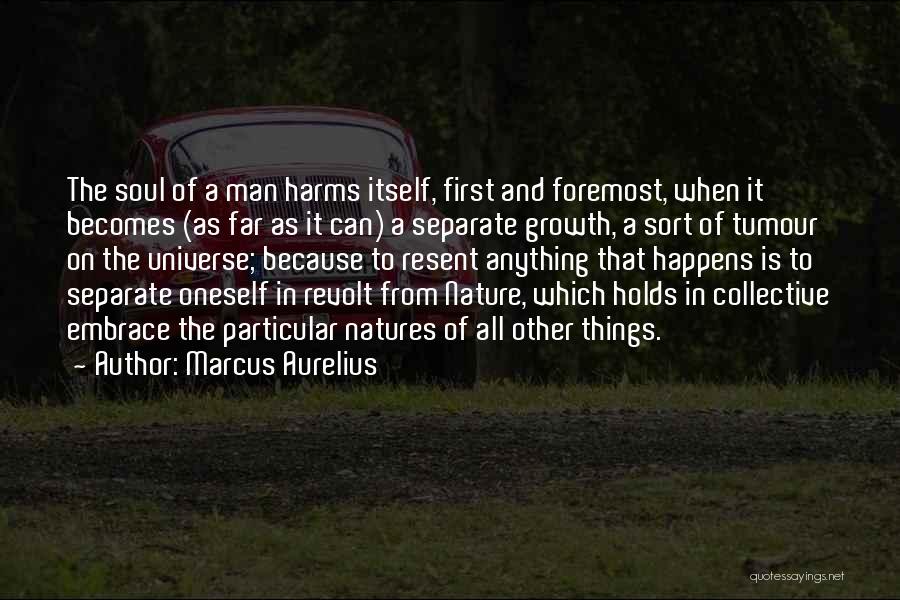 Nature And Soul Quotes By Marcus Aurelius