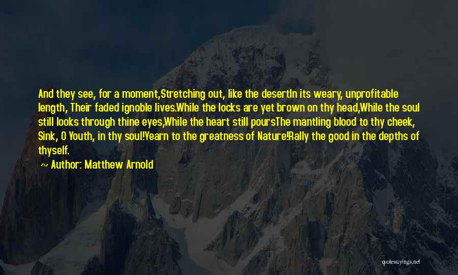 Nature And Soul Quotes By Matthew Arnold