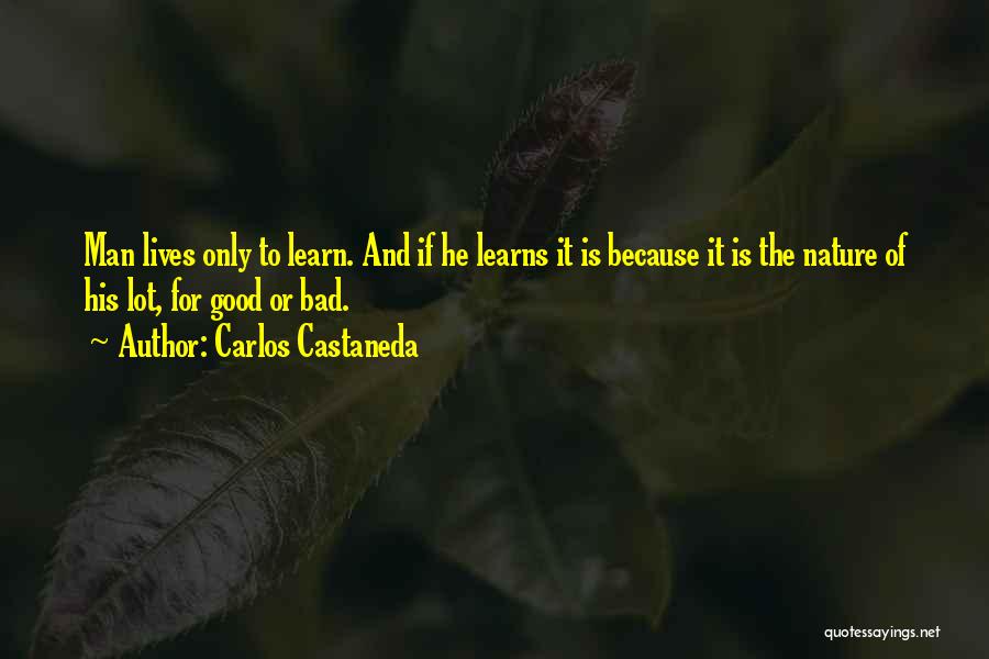 Nature And Spiritual Quotes By Carlos Castaneda